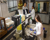 Laboratory Services